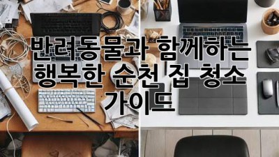 반려동물과 함께하는 행복한 순천 집 청소 가이드