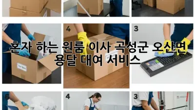 혼자 하는 원룸 이사? 곡성군 오산면 용달 대여 서비스!